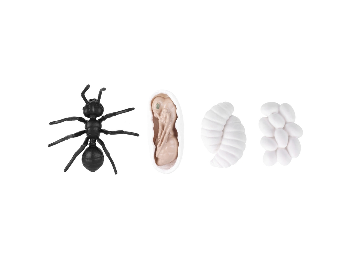 Juguete Educativo Ciclo De Vida De Insectos, Modelo De Vinilo Hormiga Mosquito M4183