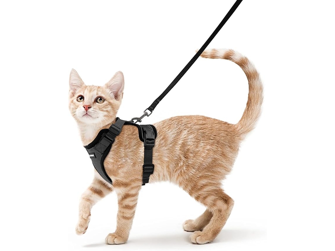 Harness Cat Con Plomo, Black Soft Harness For Cats, Chest Harness, Cat Harness, Escape Proof, Adjustable Cat Vest, Black, Xs