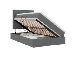 Maison Exclusive - Cama Con Almacenamiento Y Led Con Led Gris Oscuro 120 X 190 Cm