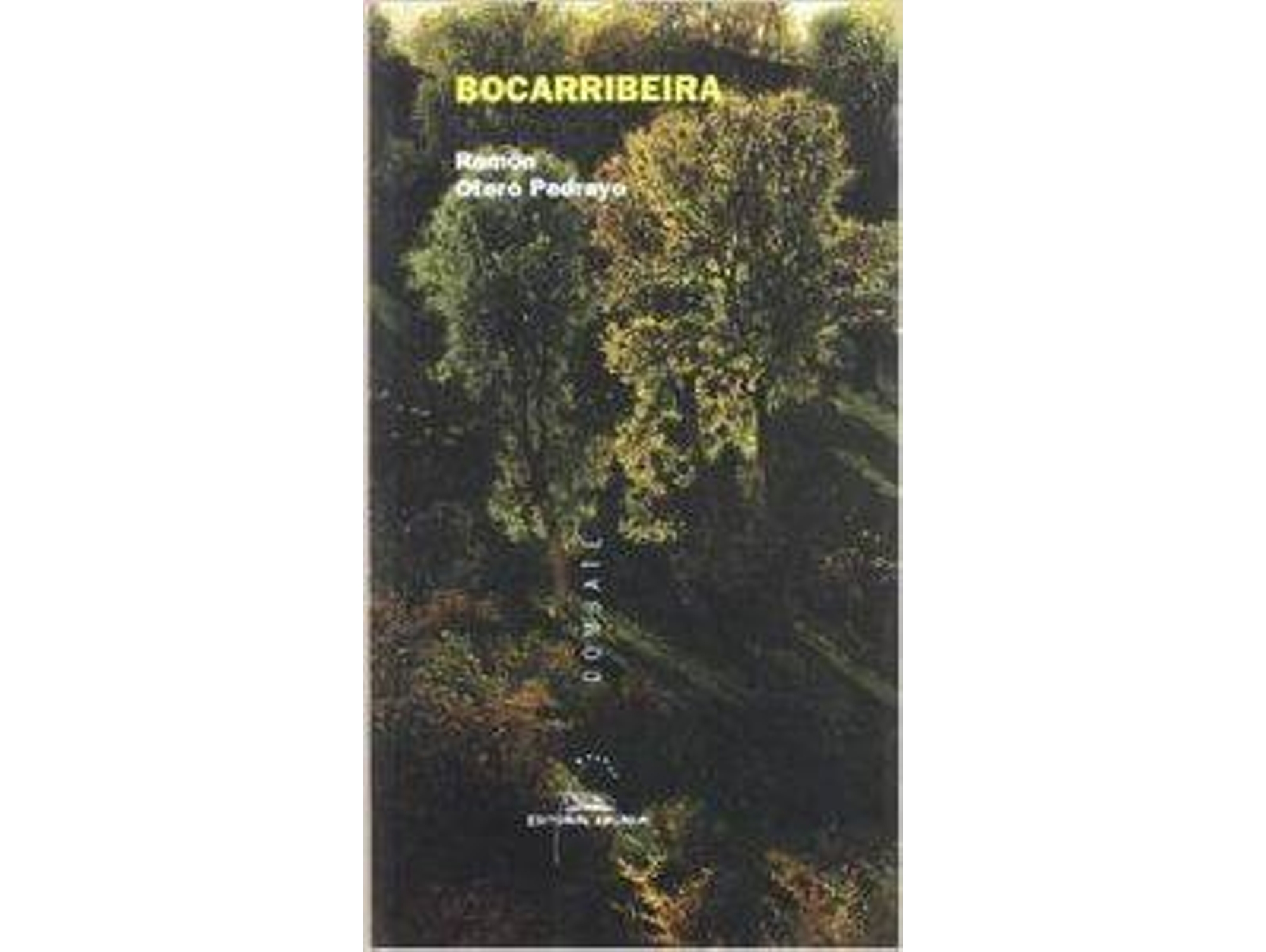 Libro Bocarribeira. Poemas Pra Ler E Queimar. de Ramón Otero Pedrayo (Galego)