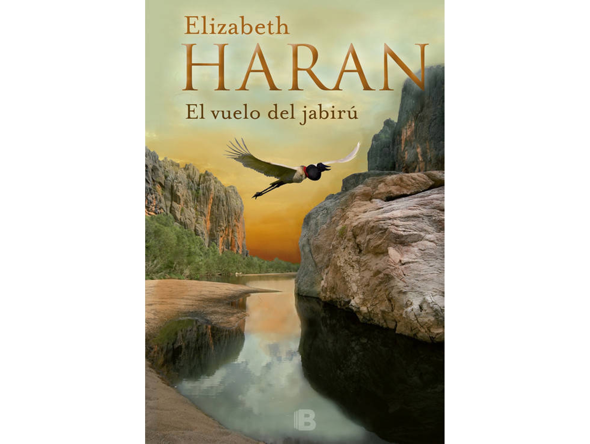 Libro El Vuelo Del Jabirú