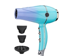 Secador de pelo profesional de cerámica de alta potencia para salón, con difusor y concentrador, con iones negativos. Ly Ebike