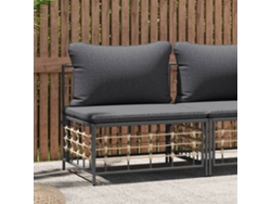 Sofá Central De Jardín | Sofá De Exterior Con Cojines Ratán Sintético Gris Oscuro Wsd443608