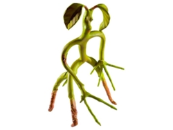 Figura NOBLE COLLECTION Monstros fantásticos bowtruckle