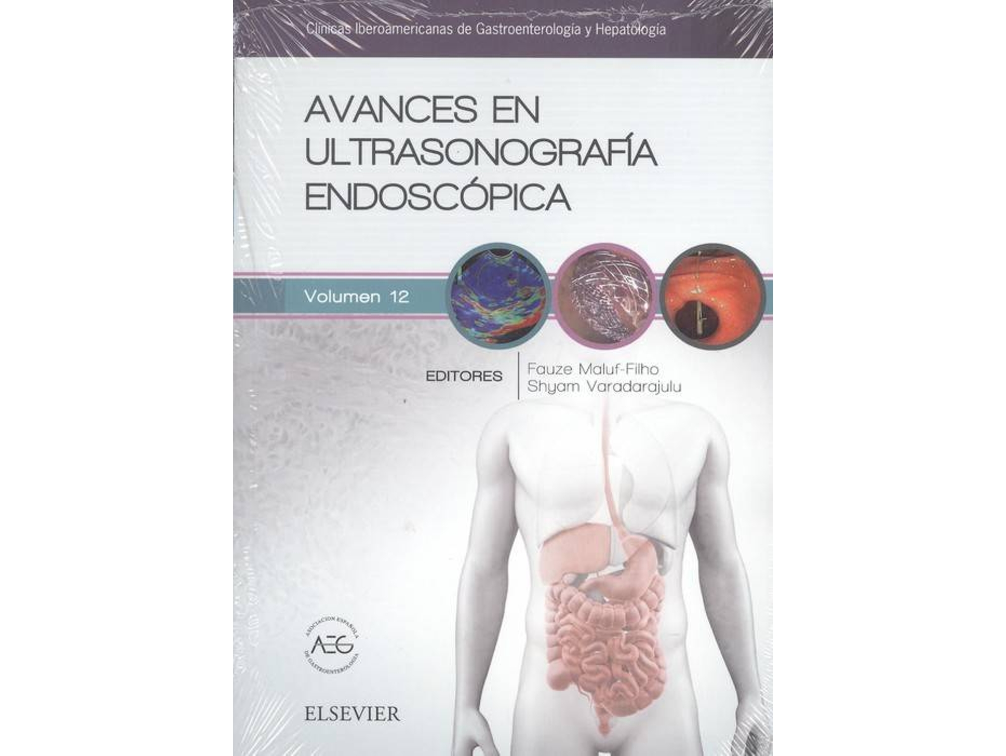 Libro Avances En Ultrasonografía Endoscópica de Varios Autores