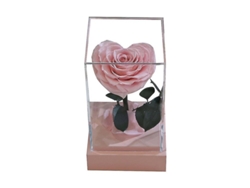 2026-rosa Corazón Eterna Preservada En Acrílico Transparente Para San Valentín Cumpleaños Regalo Romántico
