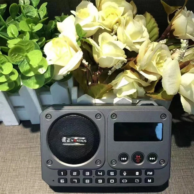 Mini Radio Fm (gris), Altavoz Bluetooth, Grabadora Con Pantalla Led, Cambio De Carpetas Y Reproducción De Tarjetas Tf Y Memorias Usb.