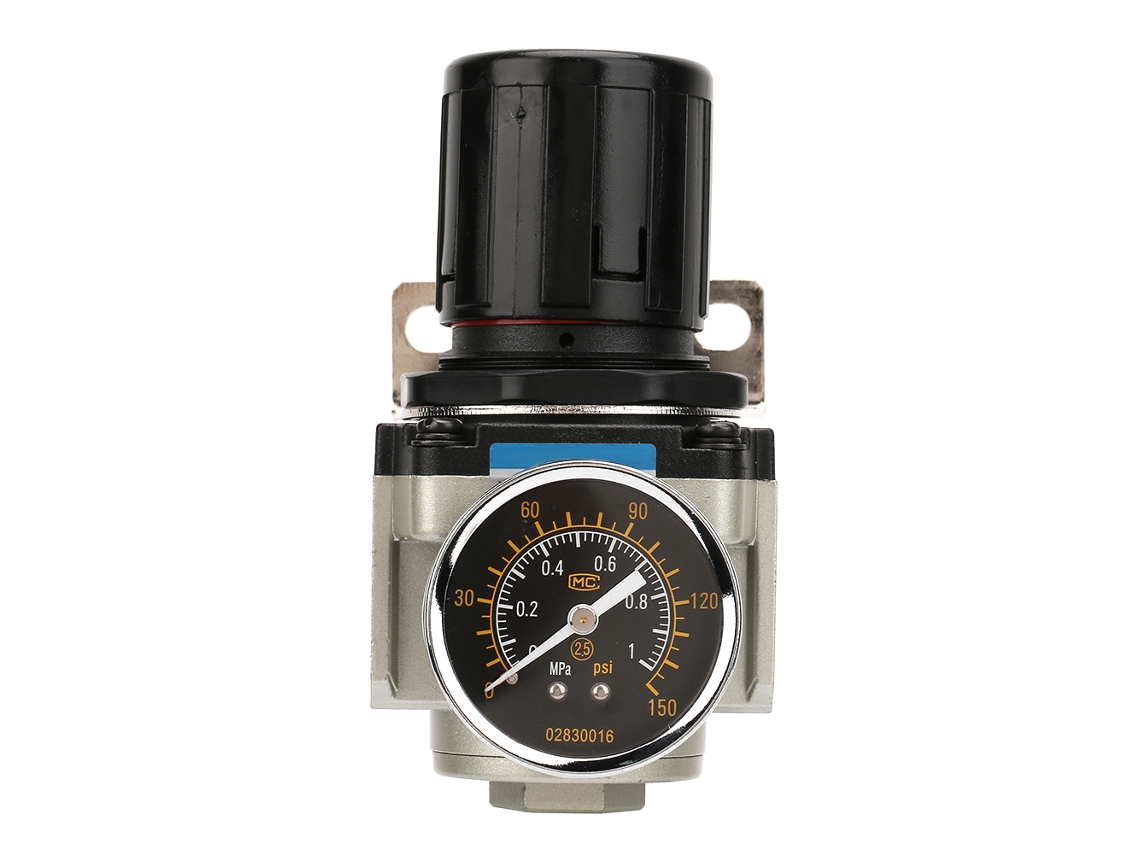 Conjunto de filtro de aire (filtración de aire, protección del motor)