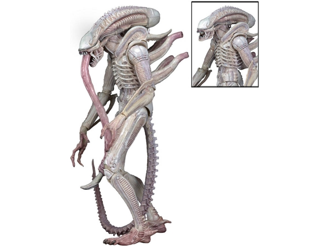 Figura EASTVAPS Neca Xenomorph Albino Drone Serie 9 (18cm)