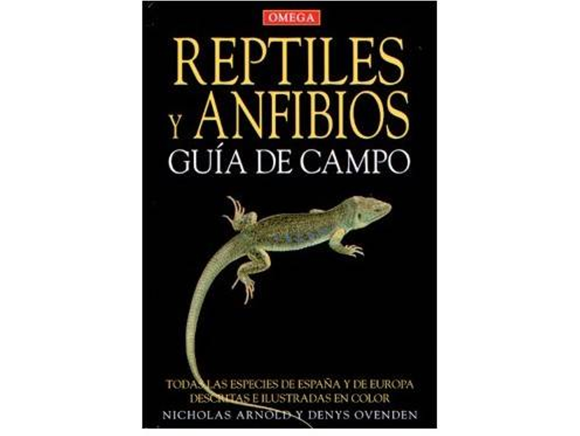 Libro Reptiles Y Anfibios, Guía De Campo de Nicolas Arnold (Español)