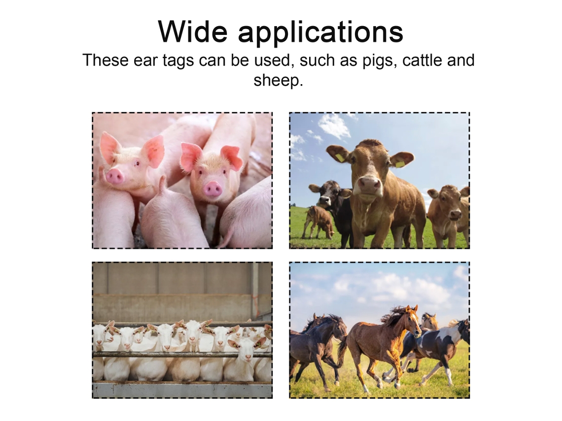 Alicates Para Colocar Crotales En Las Orejas De Animales, Con 100 Crotales Para Ganado Vacuno, Ovino Y Porcino.