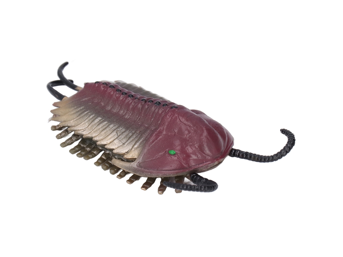 Figura De Trilobite, Juguete Educativo, Figura De Animal Marino Antiguo, Regalo Para Niños.