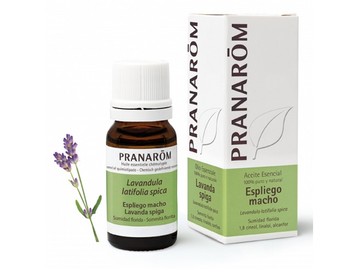 Aceite Essencial PRANAROM Essencial De Espliego Macho (10 ml de óleo essencial)