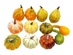 Calabazas artificiales de Slowmoose Supplies