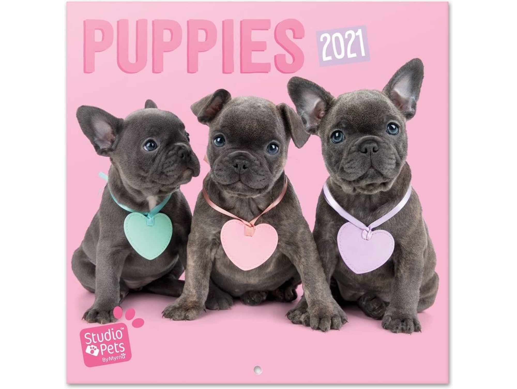 Calendario OFIURIA Studio Pets Puppies (2021 - 30 x 30 cm)