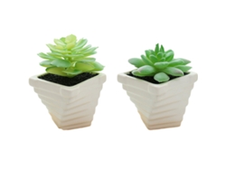 Adornos pequeños de plantas suculentas en maceta creativas, 2 uds. NEVEANCE