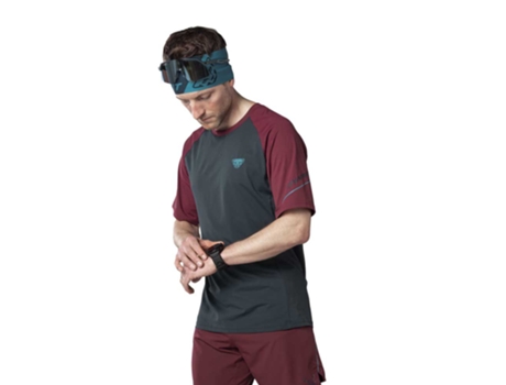 Camiseta de Hombre DYNAFIT Alpine Gris (L)