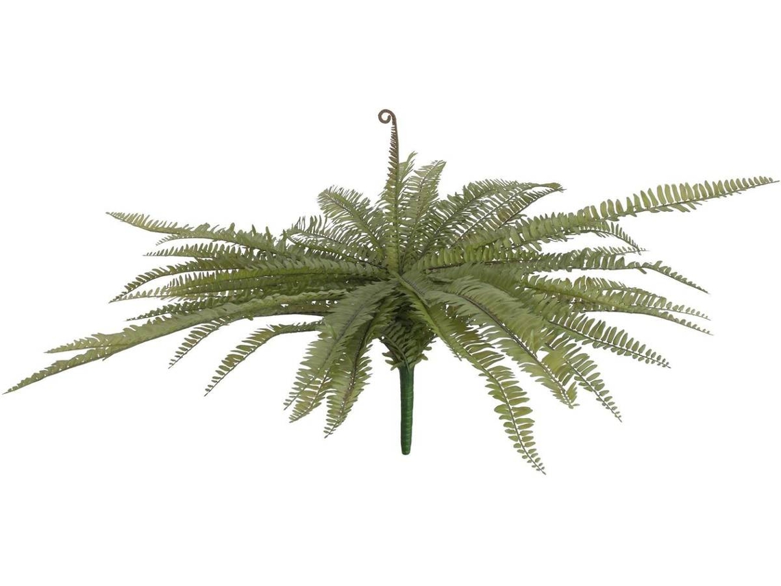 Planta Artificial EUROPALMS Boston fern (Verde - 70cm)