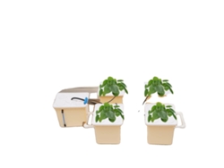 Sistema de cultivo hidropónico, 4 cubos, bomba de agua eficiente, amarillo claro OEM