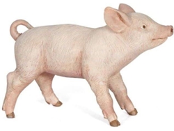 Figura PAPO Porco