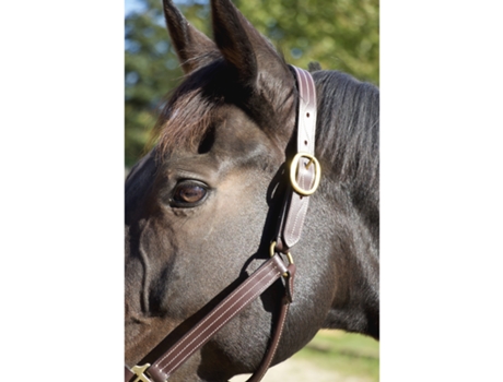 Cabezada de cuero para caballos T de T Trippled Stiched