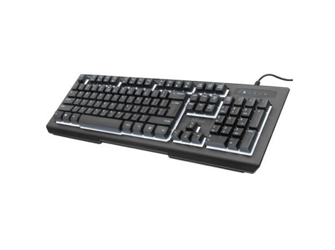 Teclado TRUST Lito 12 (Teclado Numérico)