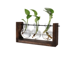 2026-vaso Hidropónico De Vidrio Con Base De Madera Para Plantas Y Terrarios Decorativos Simples