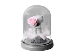 Regalo de San Valentín: flor eterna, osito de peluche, regalo creativo MEOIRUERY