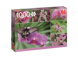 Puzzle JUMBO Orchids (1000 Piezas)