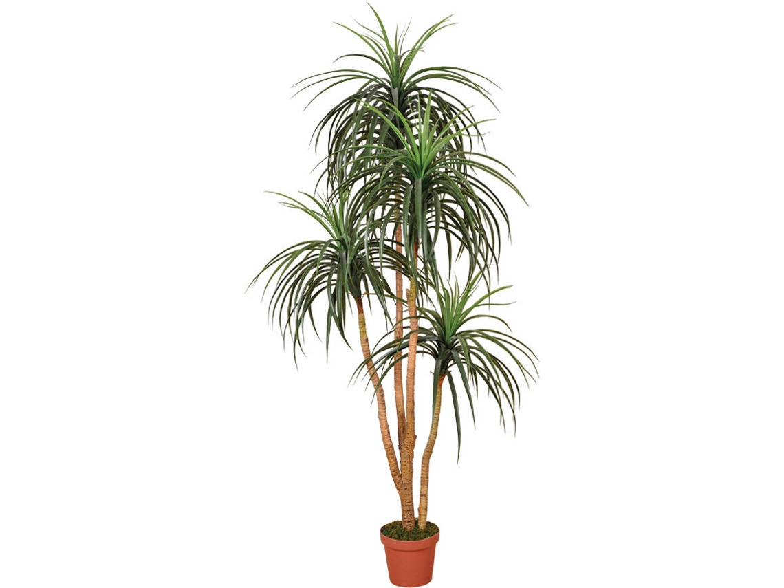 Planta Artificial CATRAL Nolina (25 x 20 x 205 cm)