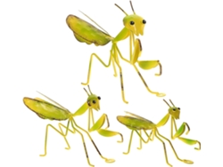 Juego De 3 Colgantes De Mantis Religiosa De Hierro, Decoraciones De Jardín Para