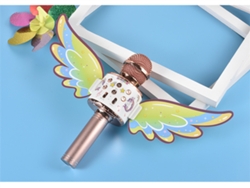 Ws88/Ls Micrófono Portátil Inalámbrico para Karaoke VEANXIN Micrófono con Altavoz USB para Niños Oro
