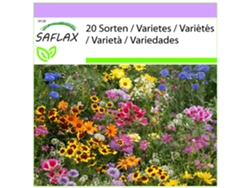SAFLAX Enanos de jardín grandes 1000 semillas Mix