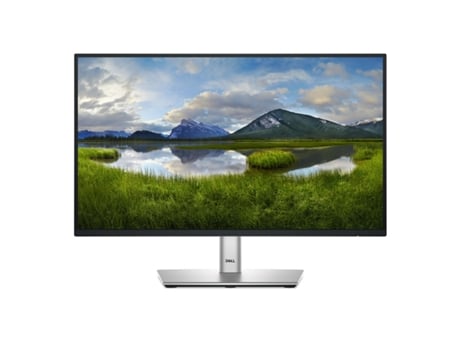 Monitor DELL P2225H (Plateado - Full HD - Flicker free - 21,5")