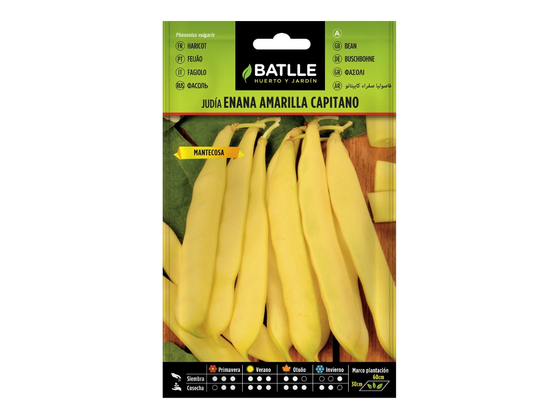 Semillas de frijol Capitano amarillo enano, 250 gr BATLLE