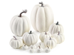 Calabaza Artificial Blanca, 12 Piezas Surtidas De Calabaza Artificial Para Decoración De Halloween Y Otoño.