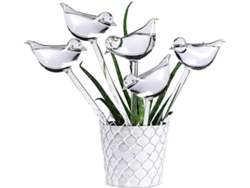 10 globos de vidrio transparentes con forma de pájaro para riego automático de plantas de interior, flores y jardín. Kofihety
