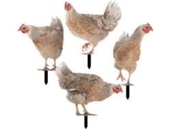 4 Estacas Acrílicas Con Forma De Gallina Para Jardín: Decoración Para Patios Exteriores Con Un Tacto Agradable Y Una