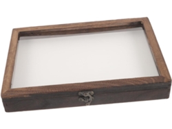 Caja De Exhibición De Insectos, Vitrina De Muestras, Ventana Transparente, Colección