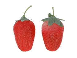 Maraca De Fruta Morango Brinquedo De Percussão Musical Para Bebês 6+ Meses
