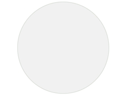 Maison Exclusive - Protector De Mesa Pvc Mate Ø 60 Cm 1,6 Mm
