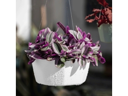 Vasos De Flores Suspensos De Plástico Modernos