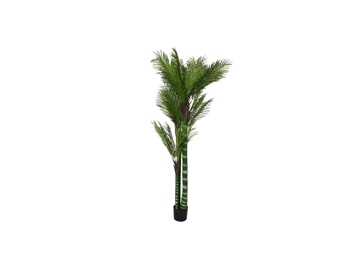 Palmeira Verde em Cimento, 100x100x235cm ALEXANDRA HOUSE LIVING