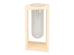 Terrario de vidrio para plantas de mesa con cultivo hidropónico