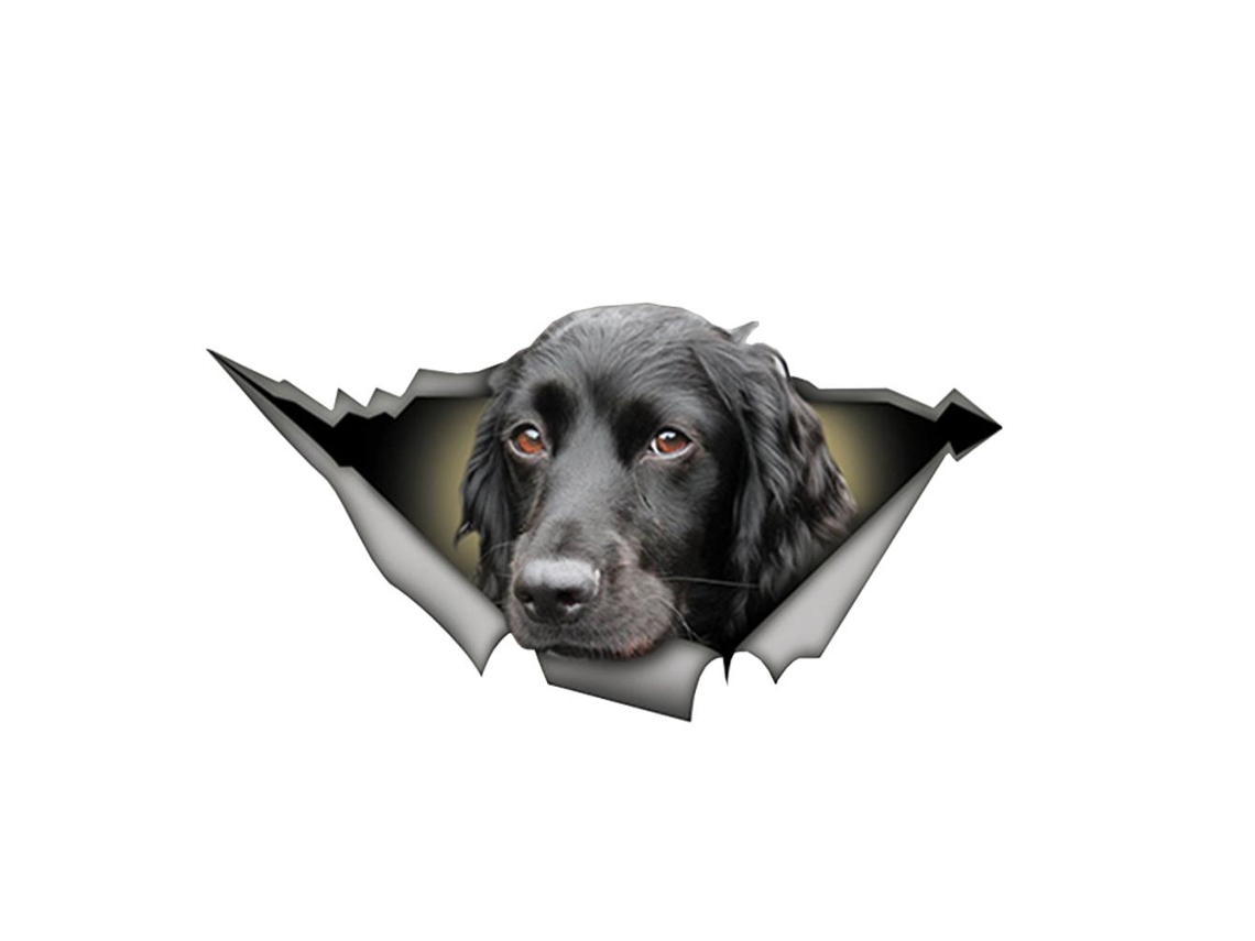 Pegatina 3d De Perro, Diseño Personalizado, Para Coche, Ventana Rota, Pared, Cuaderno, Adhesivo Impermeable.