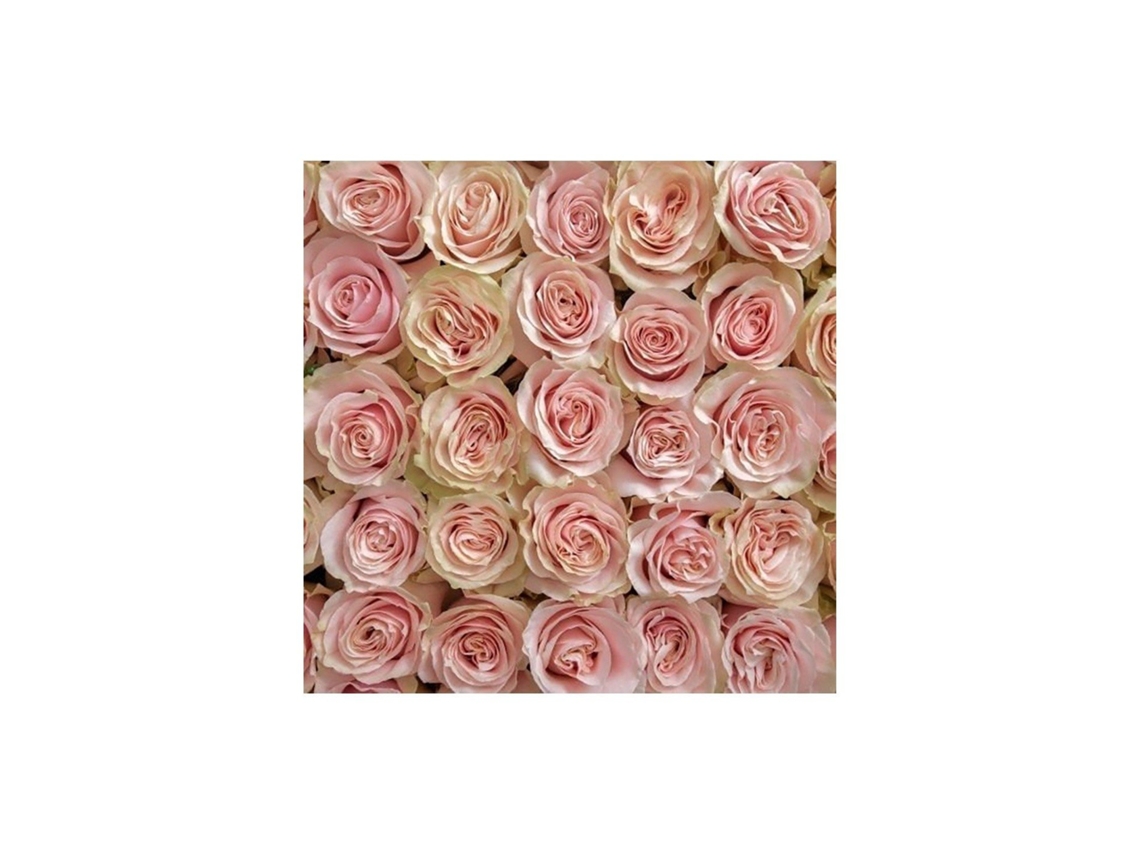 Rosas Variadas | Flor Natural | Ramo De 12 Tallos | 60cm De Alto Rosa Mondial