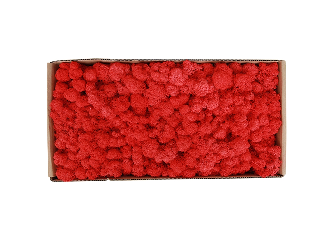 Musgo preservado para decoración de jardines y paredes.