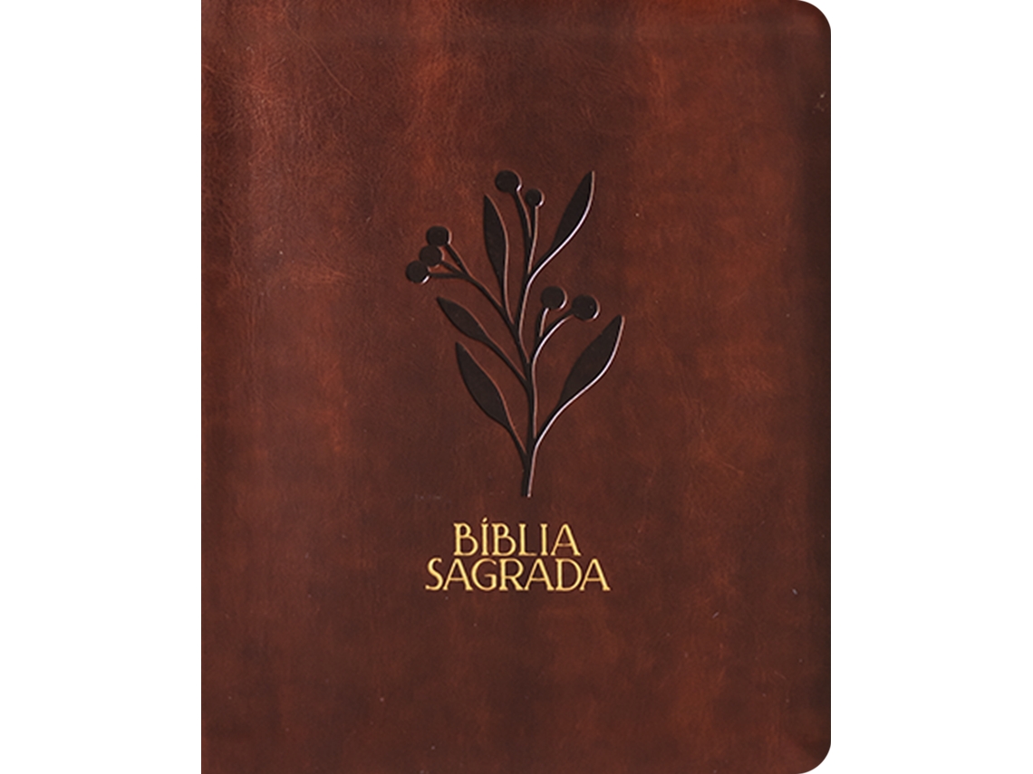Libro Bíblia Mulheres Nvt - Uma Coluna - Oliveira Marrom Por Viviane Martinello De Viviane Martinello (portugués Do Brasil)