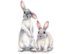 Pegatinas de Pascua Decoración Removible para Habitación de Bebé o Jardín Infantil Kofihety