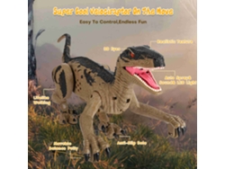 Bj-dinossauro De Controle Remoto Realista Recarregável 2.4ghz Com Som E Spray, Presente De Aniversário